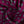 Medici Pattern Luxury Silk Pocket Square – Bordeaux