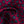 Panteon Luxury Silk Pocket Square –Dark Pink/Blue