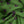 Sforza Luxury Silk Pocket Square – Green